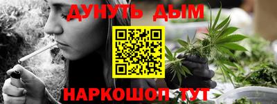 крисы Бузулук